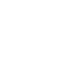 CAT caterpillar logo white